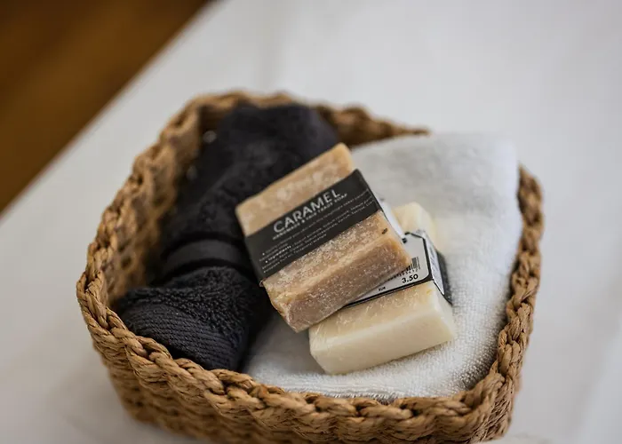 公寓 Emilia Academy 摩德纳